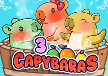3 Capybaras