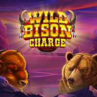 Wild bison charge