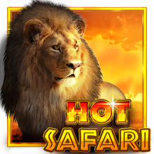 Hot safari